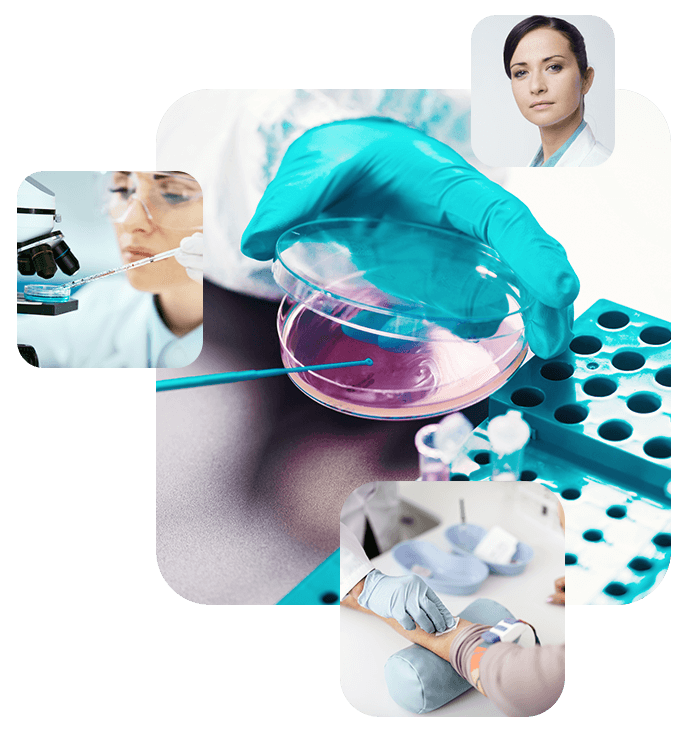 Service https://centrumdna.pl/wp-content/uploads/2020/04/experience_02.png