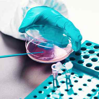 Service https://centrumdna.pl/wp-content/uploads/2020/04/home_experience_07.jpg